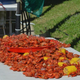 Crawfish and corn and potatoes on backyard table